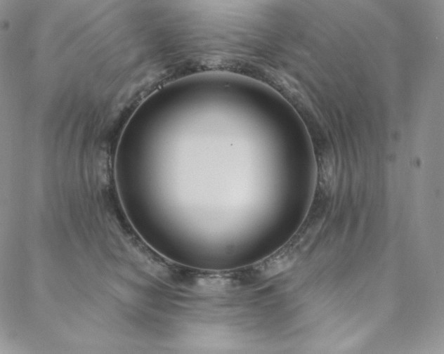X0000088710470200705311402