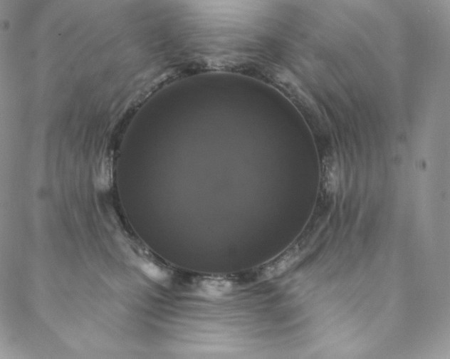 X0000088710471200705311402