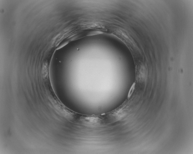 X0000088710478200705311402