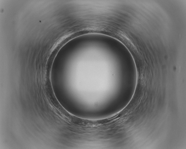X0000088710484200705311401