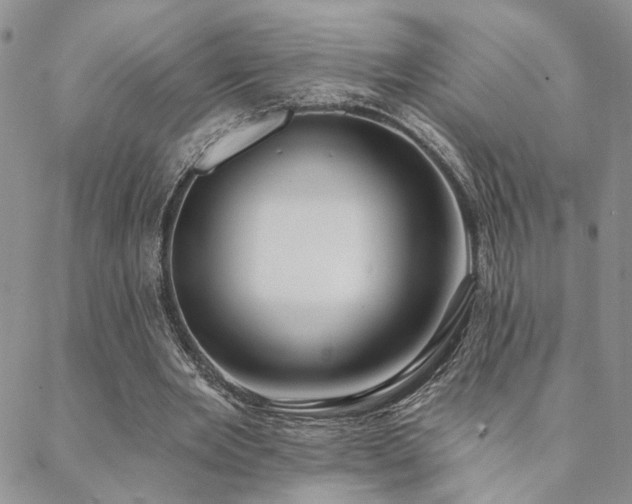 X0000088710485200705311401