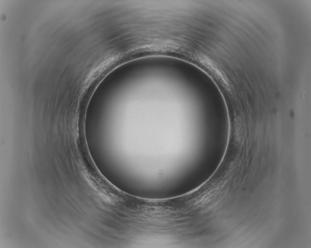 X0000088710486200705311401