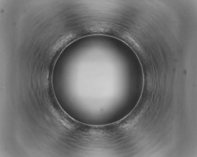 X0000088710490200705311401