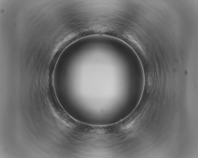 X0000088710492200705311401