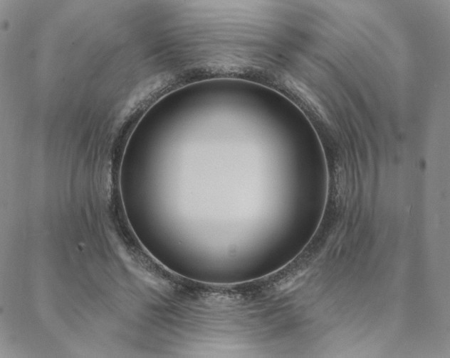 X0000088710494200705311401