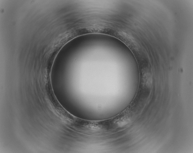 X0000088710498200705311401