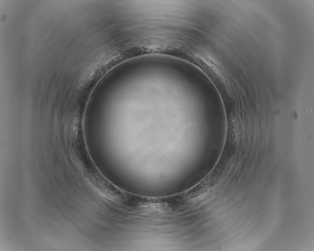 X0000088710499200705311401