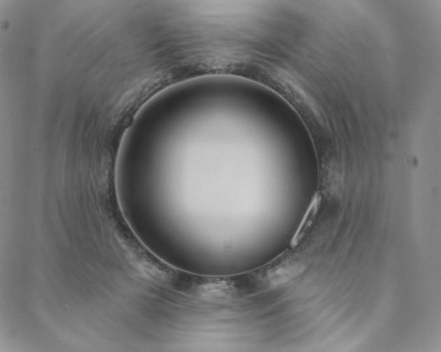 X0000088710505200705311401