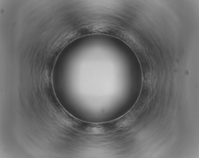 X0000088710506200705311401