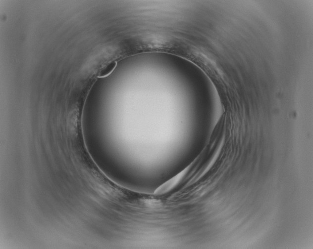X0000088710509200705311401