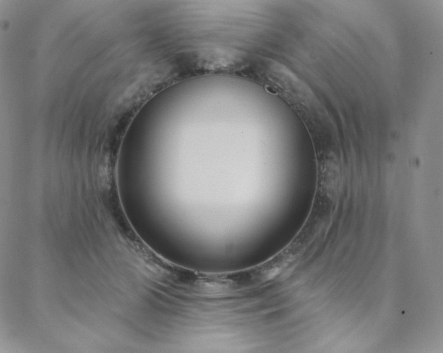 X0000088710510200705311401