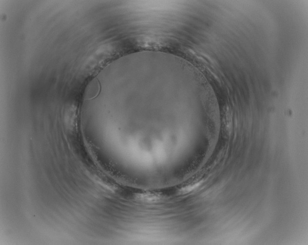 X0000088710511200705311401