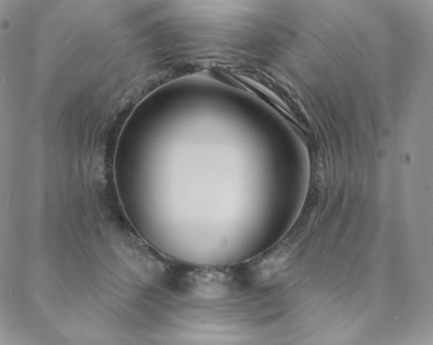 X0000088710512200705311401