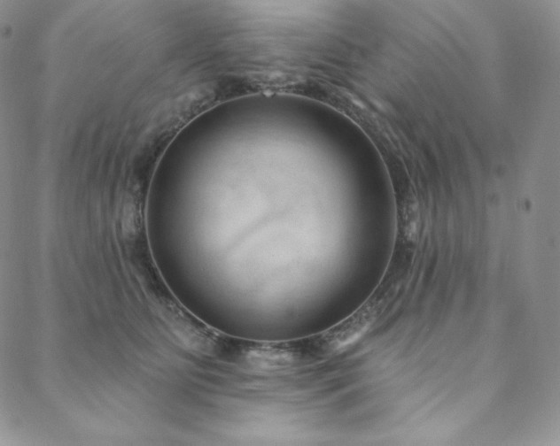 X0000088710515200705311401