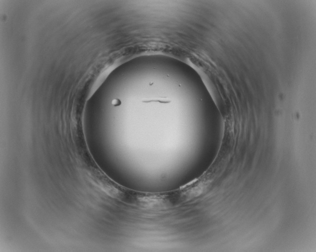 X0000088710516200705311401