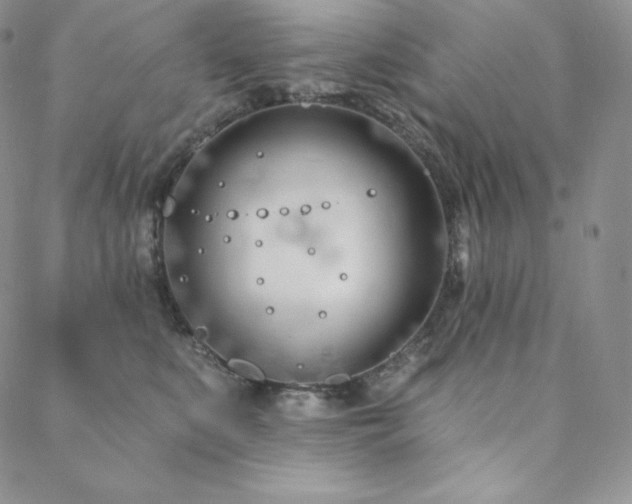 X0000088710519200705311401