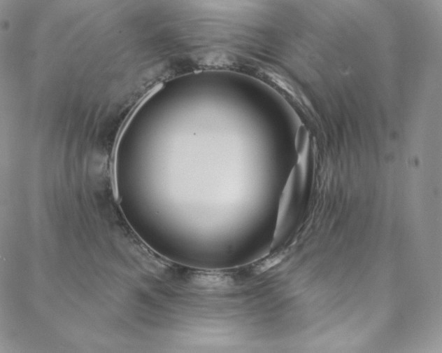 X0000088710521200705311401