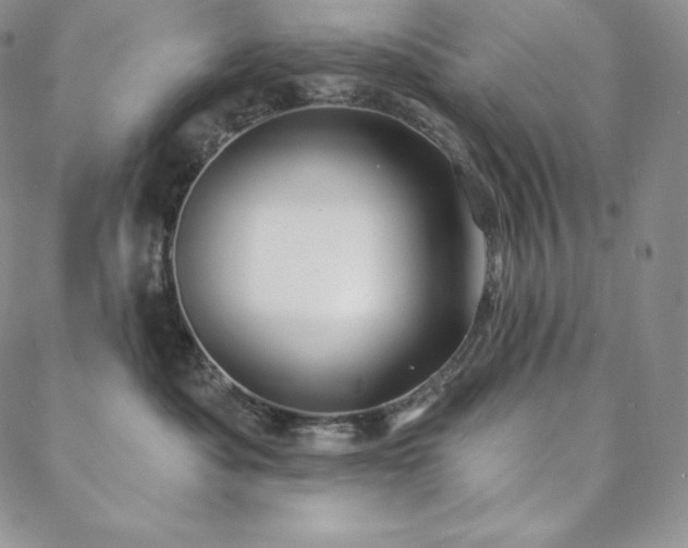 X0000088710525200705311401