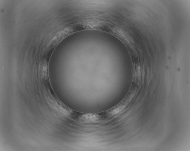X0000088710526200705311401