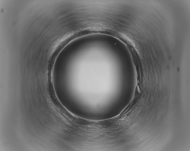 X0000088710535200705311400