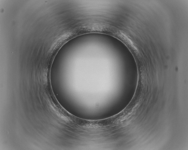X0000088710537200705311400