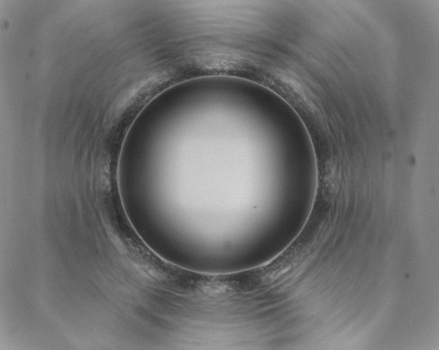 X0000088710547200705311400