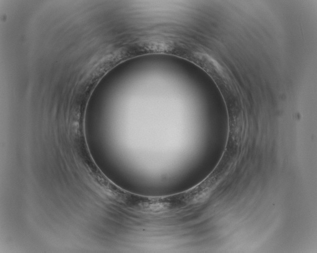 X0000088710553200705311400