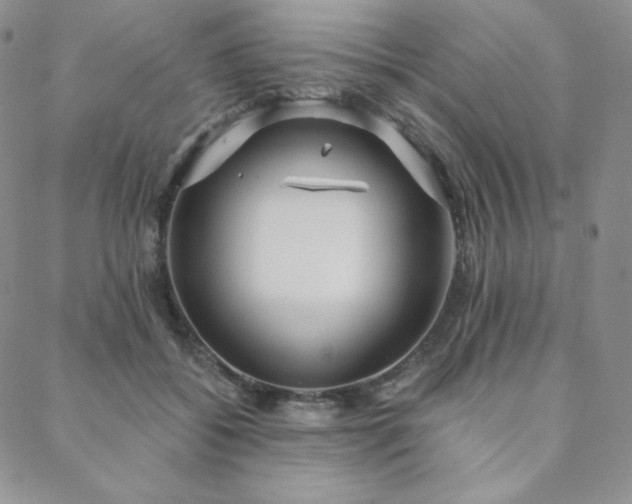 X0000088710556200705311400