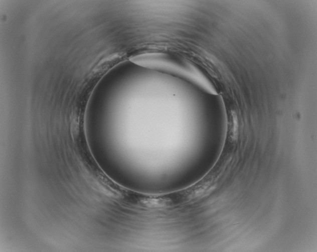 X0000088710558200705311400