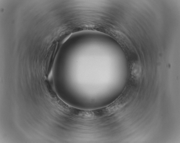 X0000088710559200705311400