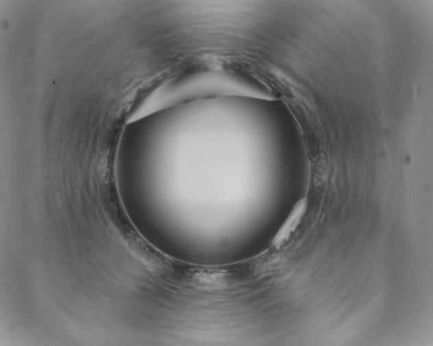 X0000088710560200705311400