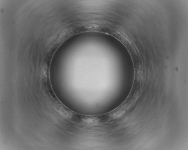 X0000088710561200705311400