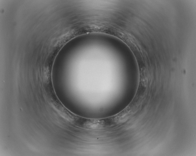 X0000088710563200705311400