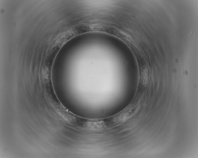 X0000088710571200705311401