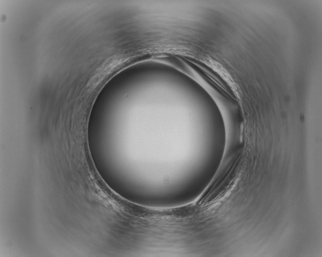 X0000088710577200705311400