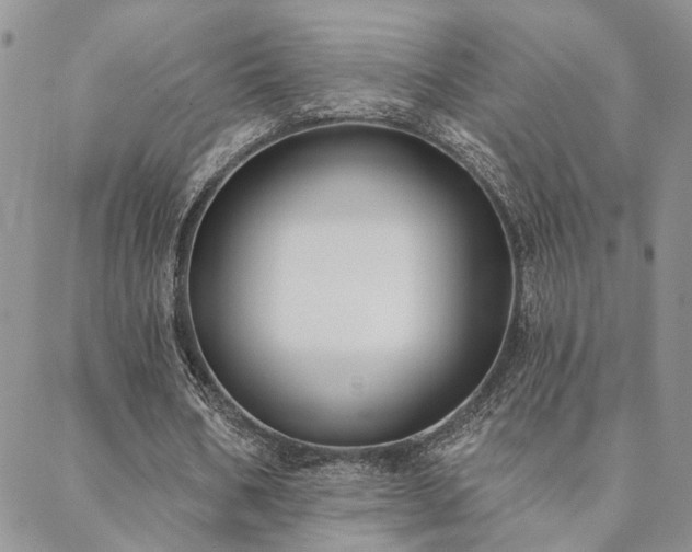 X0000088710578200705311400