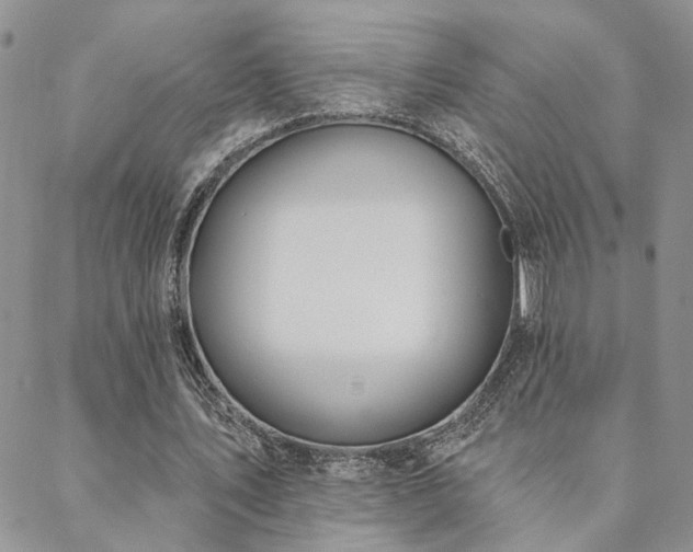 X0000088710579200705311400