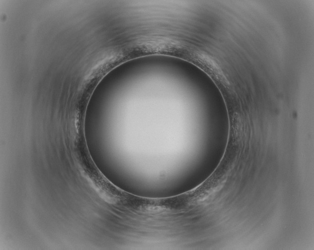 X0000088710590200705311400