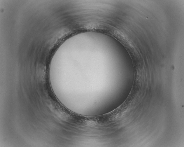 X0000088710592200705311400