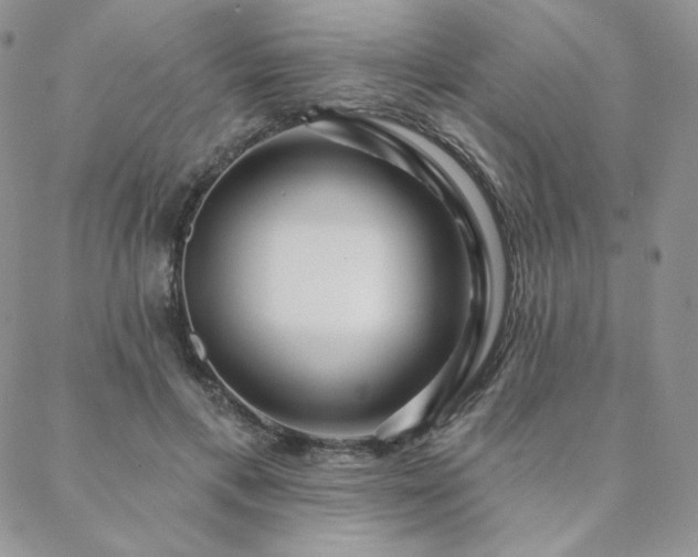 X0000088710597200705311400