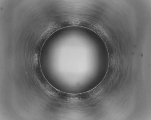X0000088710598200705311400
