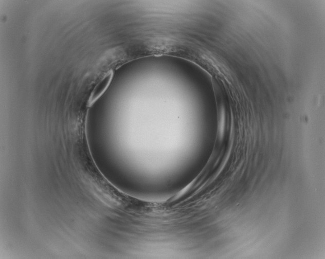 X0000088710601200705311359