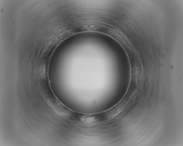 X0000088710602200705311359