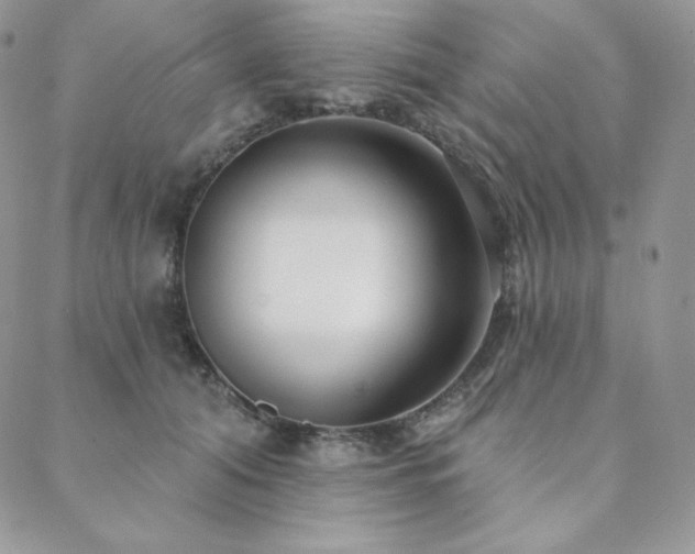 X0000088710608200705311359