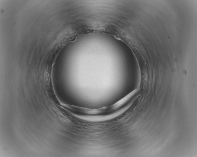 X0000088710609200705311359