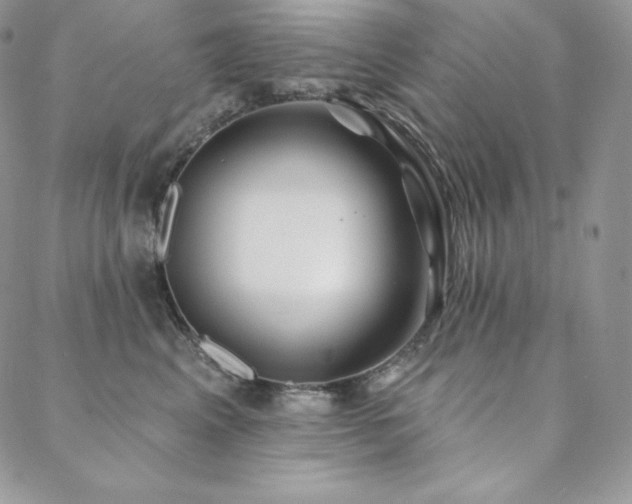 X0000088710617200705311359