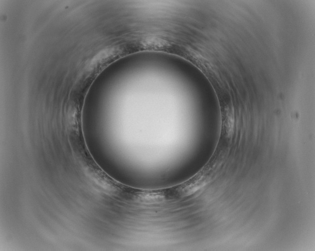 X0000088710619200705311359