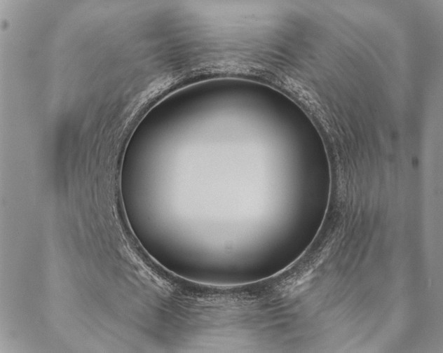 X0000088710625200705311358