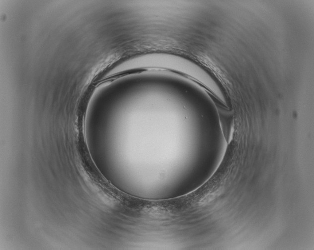 X0000088710634200705311358
