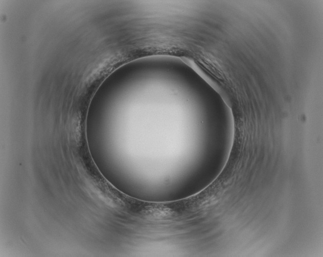 X0000088710642200705311359